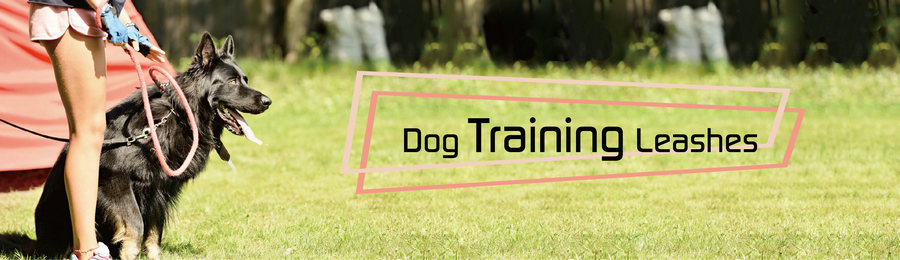 Dog Training Leash